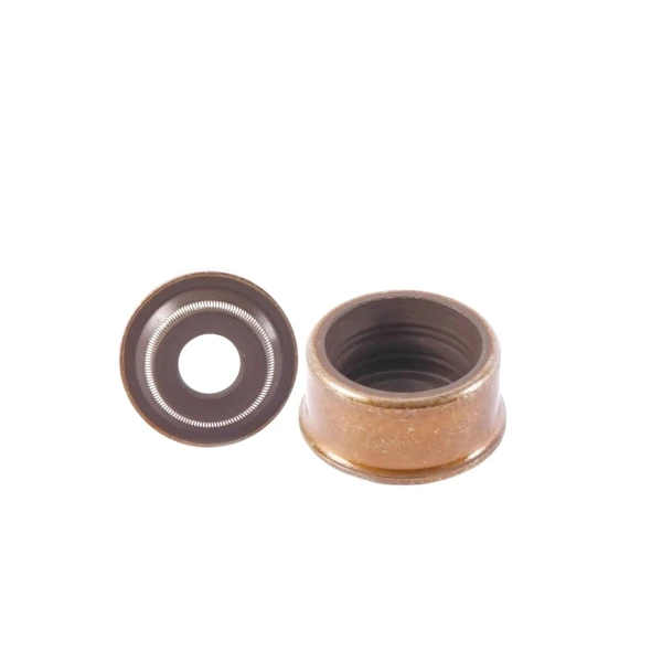 Reten De Válvula Para Chevrolet Astra 1992 2004 1.4/1.8/2.0 8 Valv